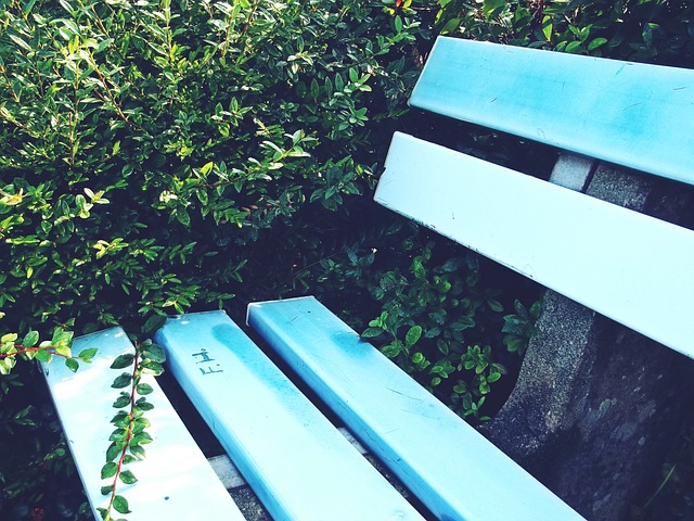 程碑感到高 程碑感到高