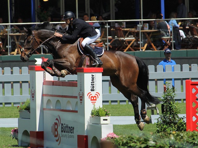 可以期待看 可以期待看