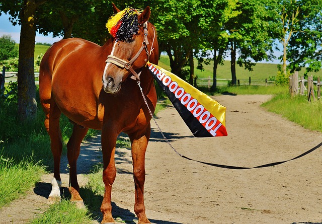 一个完美的 一个完美的