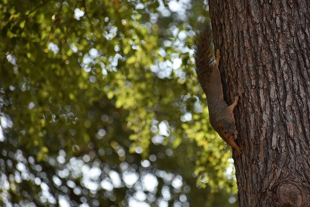 破对手的高 破对手的高