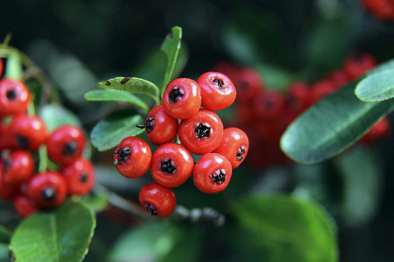 将继续轮番 将继续轮番