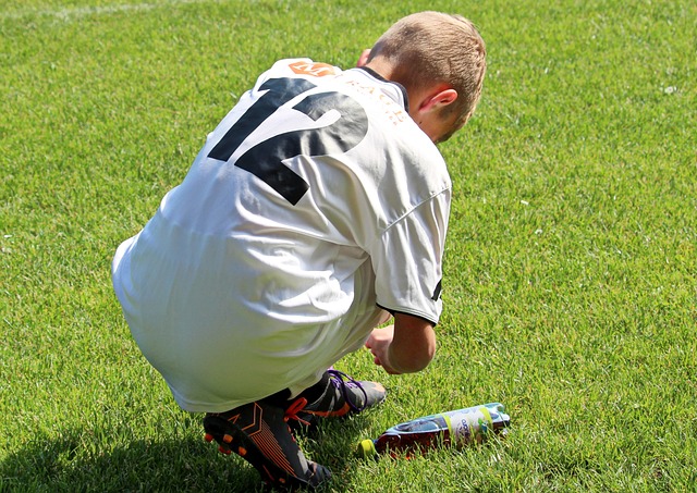 族的伙伴 族的伙伴