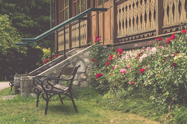 明星周末 明星周末